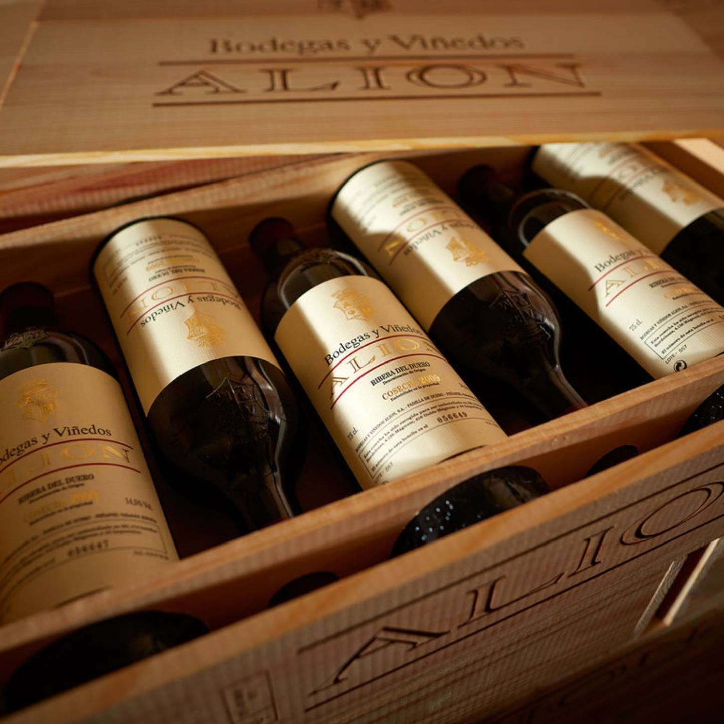 Bodegas y Viñedos Alíon - Fam. Álvarez