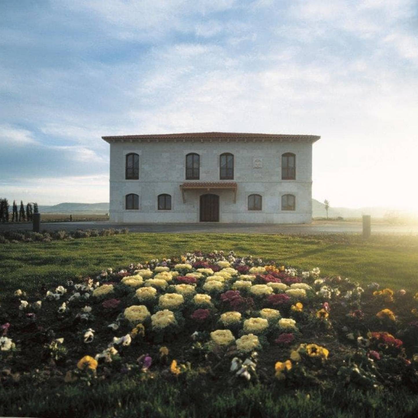 Bodegas Peñafiel