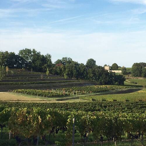 Château Le Rey