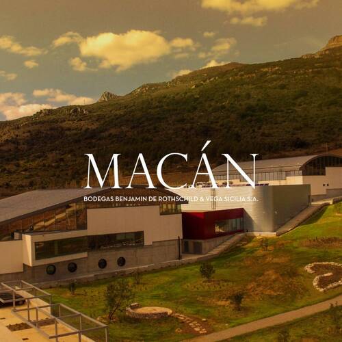 Bodegas B. de Rotschild & Vega Sicilia