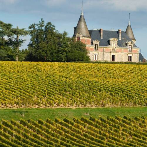 Château de Rayne Vigneau