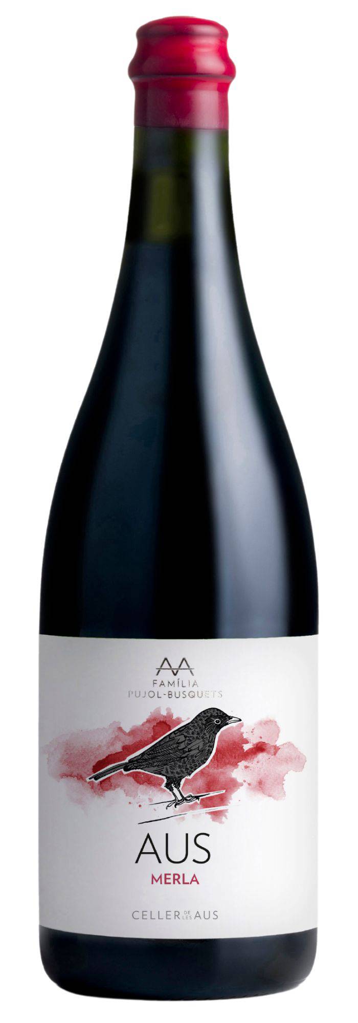 Merla Celler de les Aus