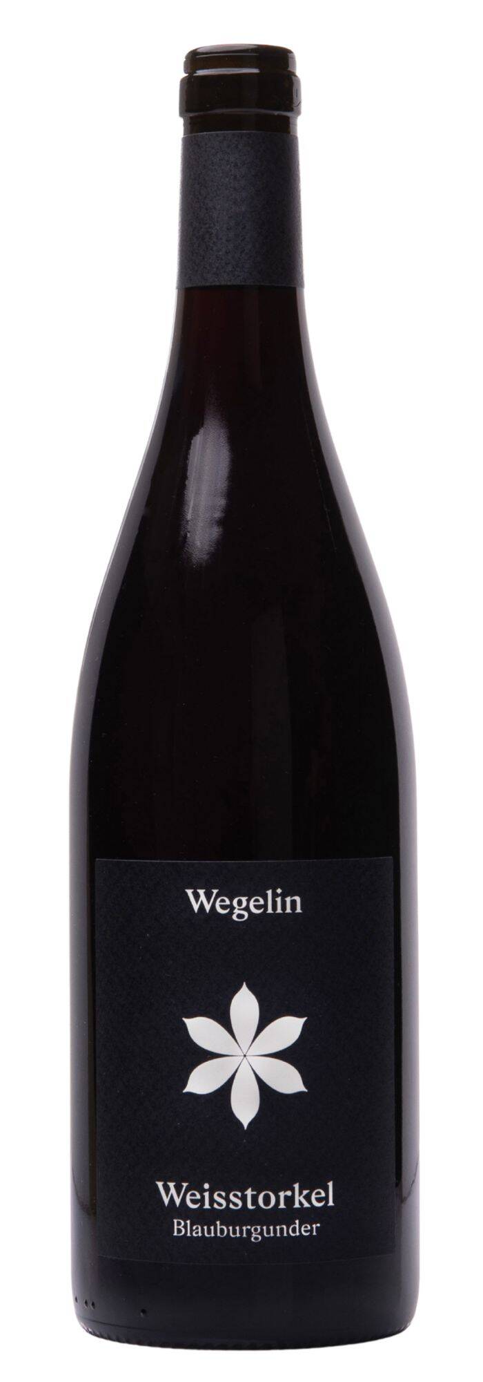 Weisstorkel Blauburgunder